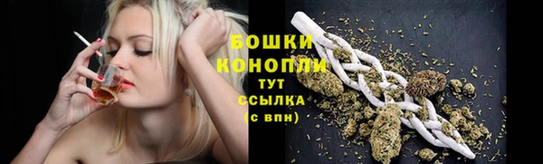 spice Бугульма